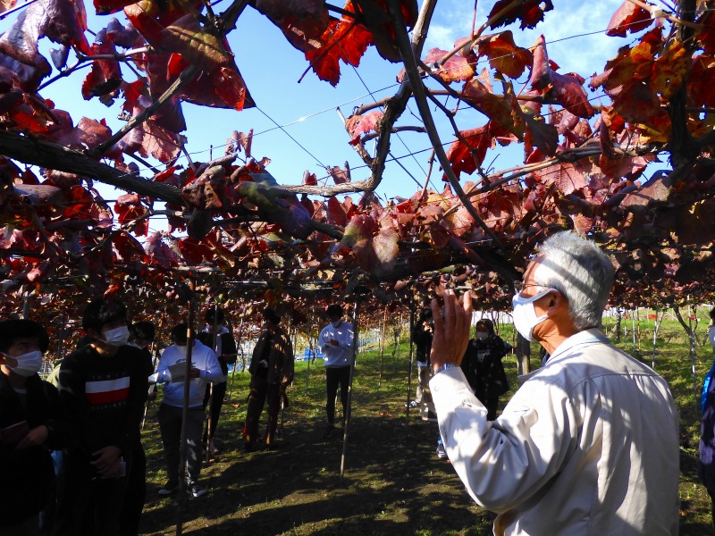 大阪のワイナリーから見るSDGsと地域の未来(大阪商業大学ゼミ生向けプログラム)