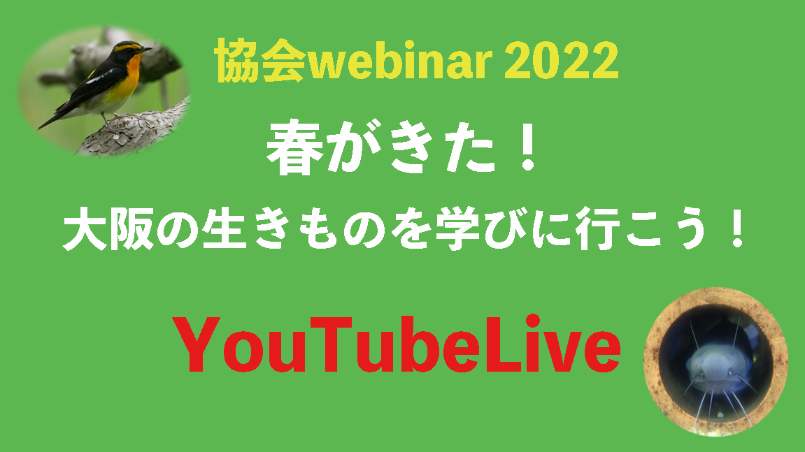 協会Webinar2022「春がきた!大阪の生きものを学びにいこう!」