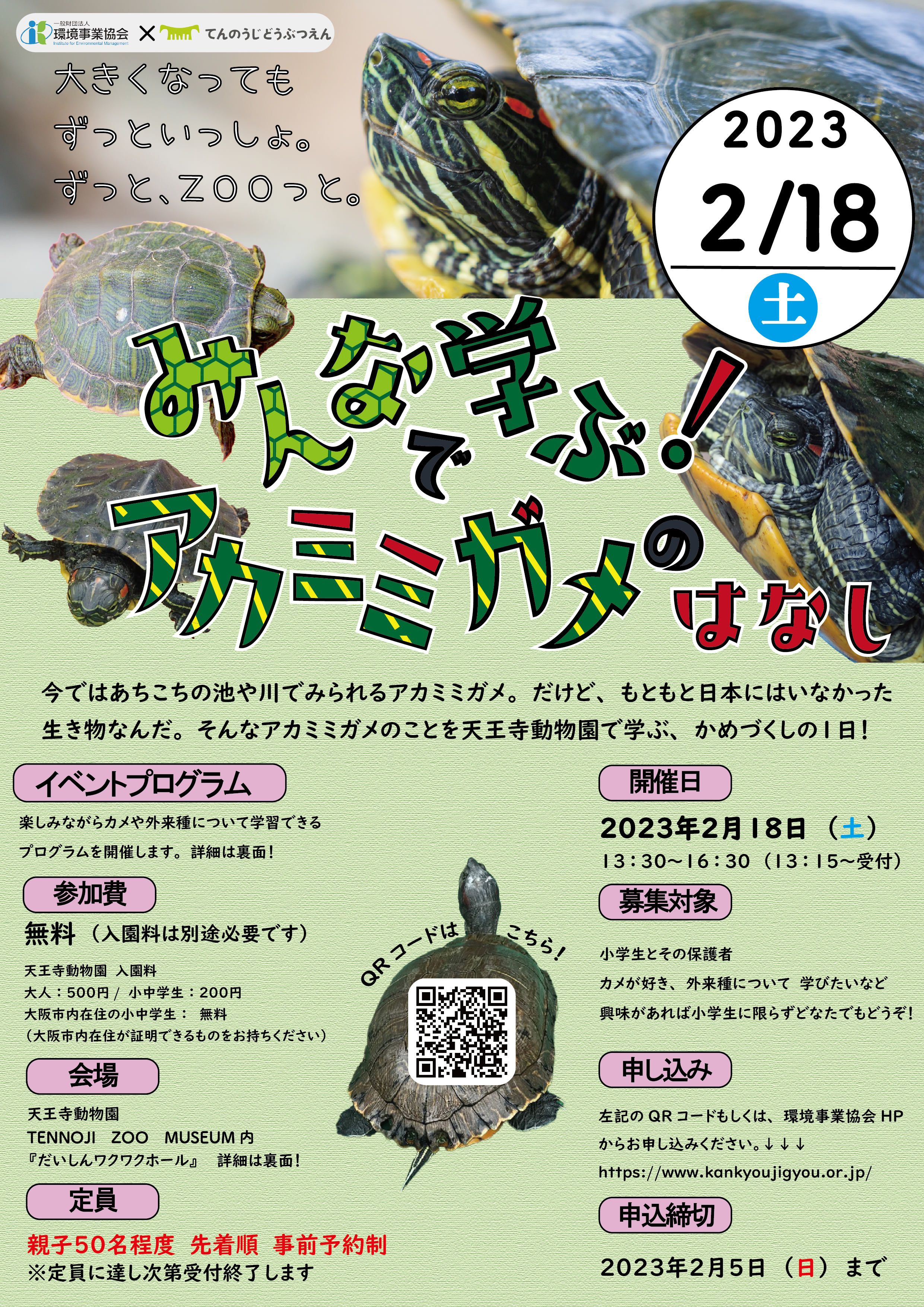 大きくなってもずっといっしょ。みんなで学ぶ!アカミミガメのはなし
