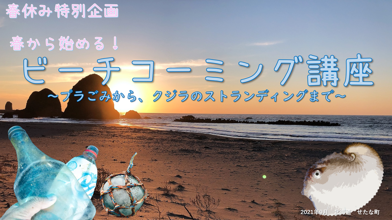 春休みウェビナー企画「春から始める!ビーチコーミング講座」~プラごみからクジラのストランディングまで~