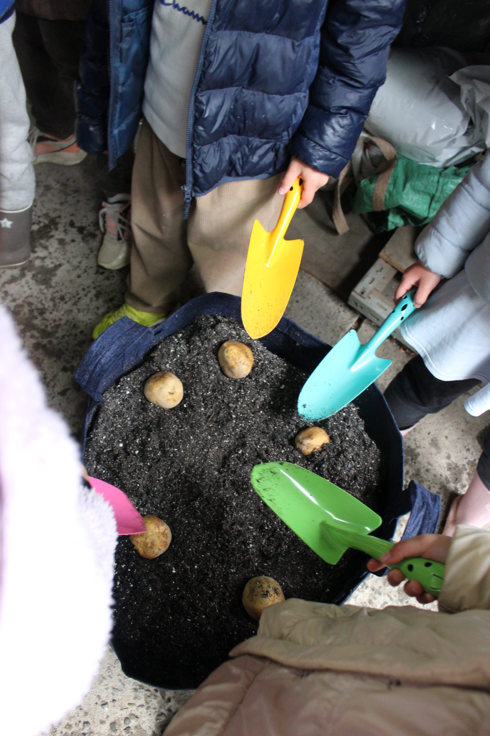 Urban City Farm OZ オープニングセレモニーを開催しました!